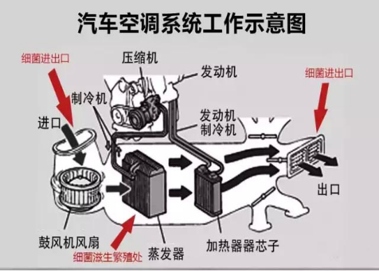 圖片4.png 圖片4.png