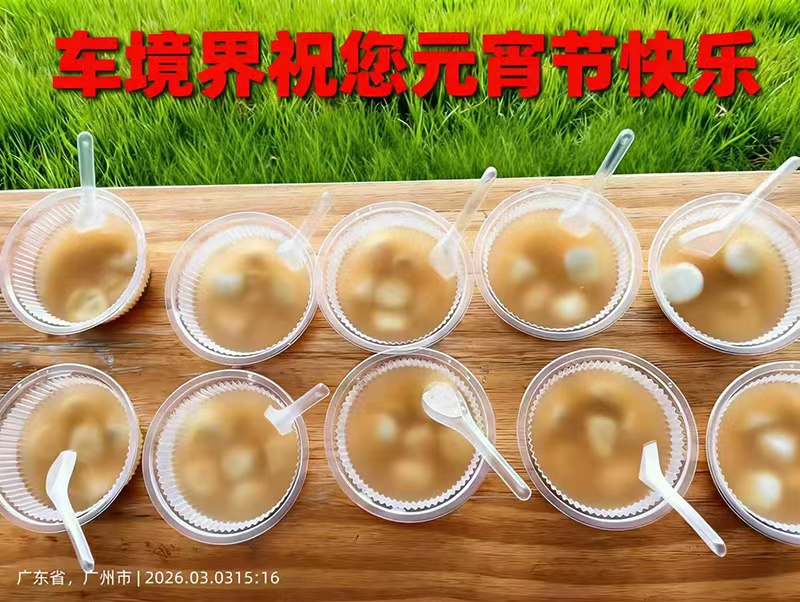汽車除味劑